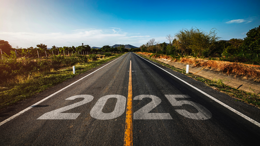 2025 Fitness Journey