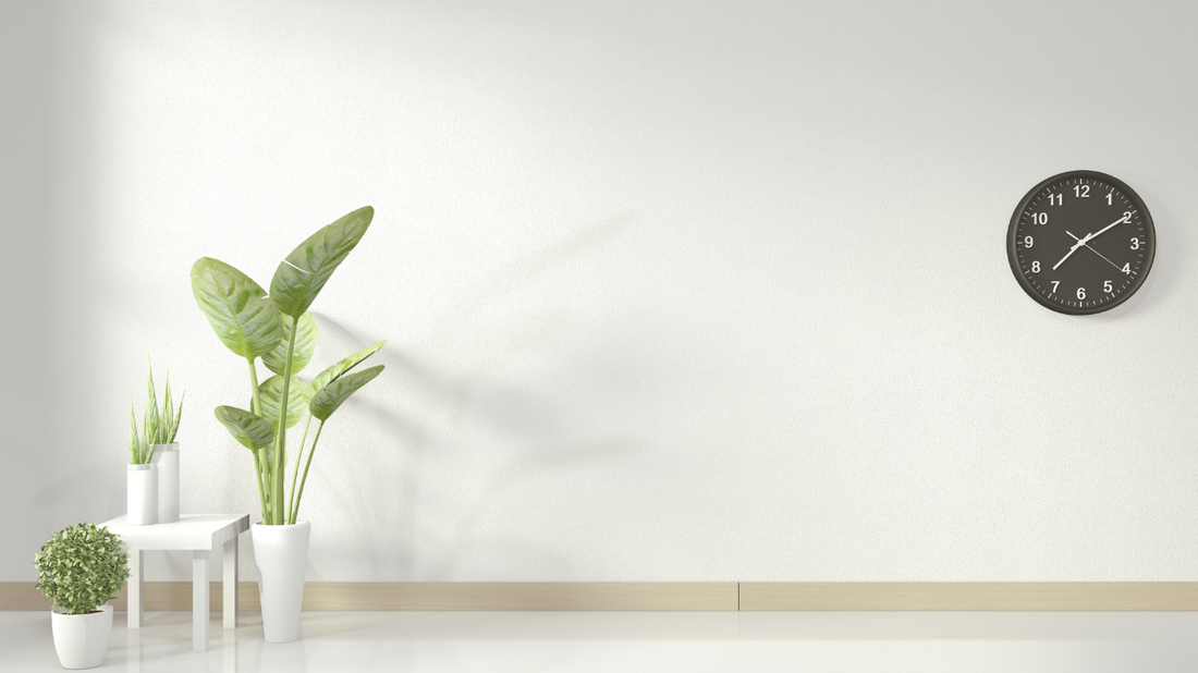 Tranquil living space with indoor plants and warm-toned lighting promoting relaxation.