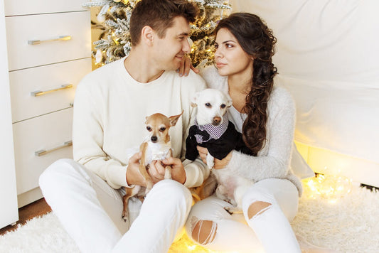 Family enjoying a cozy and energy-efficient home with soft lighting