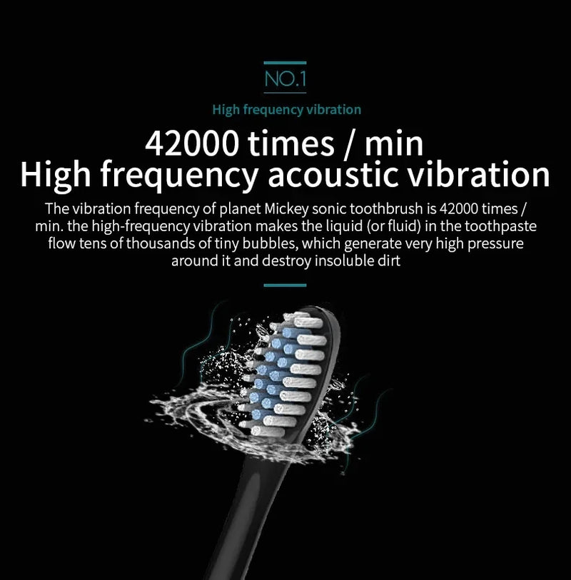 Electric Toothbrush USB Rechargeable Tooth Brush for Adult 6 Clean Modes Washable Teeth Whitening and Cleaning Brush