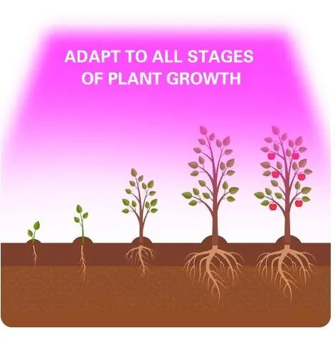 Seedling Grow Lamp