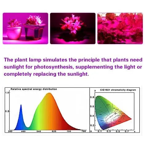 Red Blue LED Grow Light