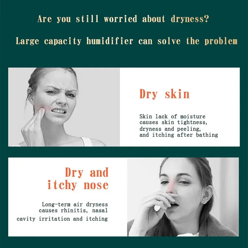 Air Humidifier Double Spray Port Essential Oil Aromatherapy Humificator - DynamicDrop Hub