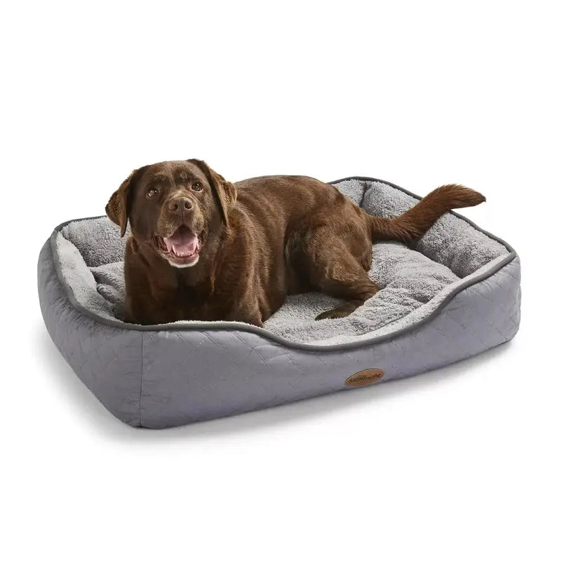 Airmax Breathable Pet Bed with Reversible Cushion - DynamicDrop Hub