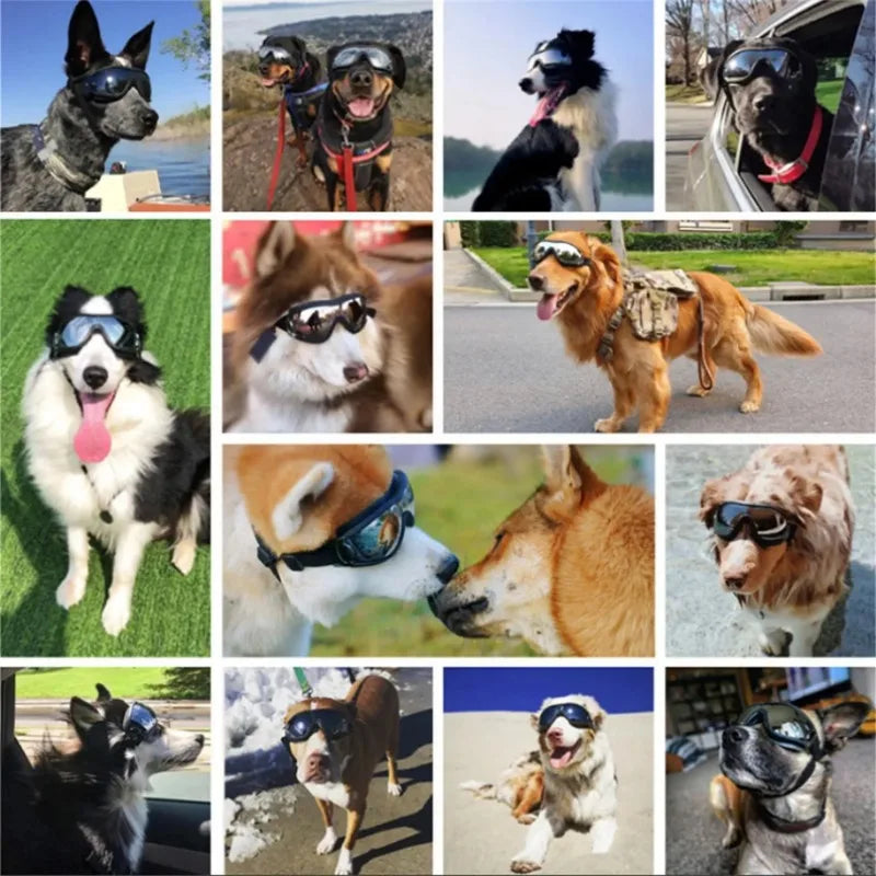 Cool Pup Shades – UV-Resistant Waterproof Dog Goggles for Large Breeds | Windproof & Transparent Pet Glasses for Outdoor Protection