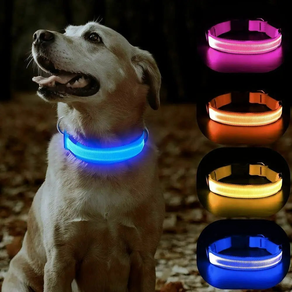 USB Rechargeable LED Pet Dog Collar Flashing Luminous Safety Light up Nylon UK - DynamicDrop Hub