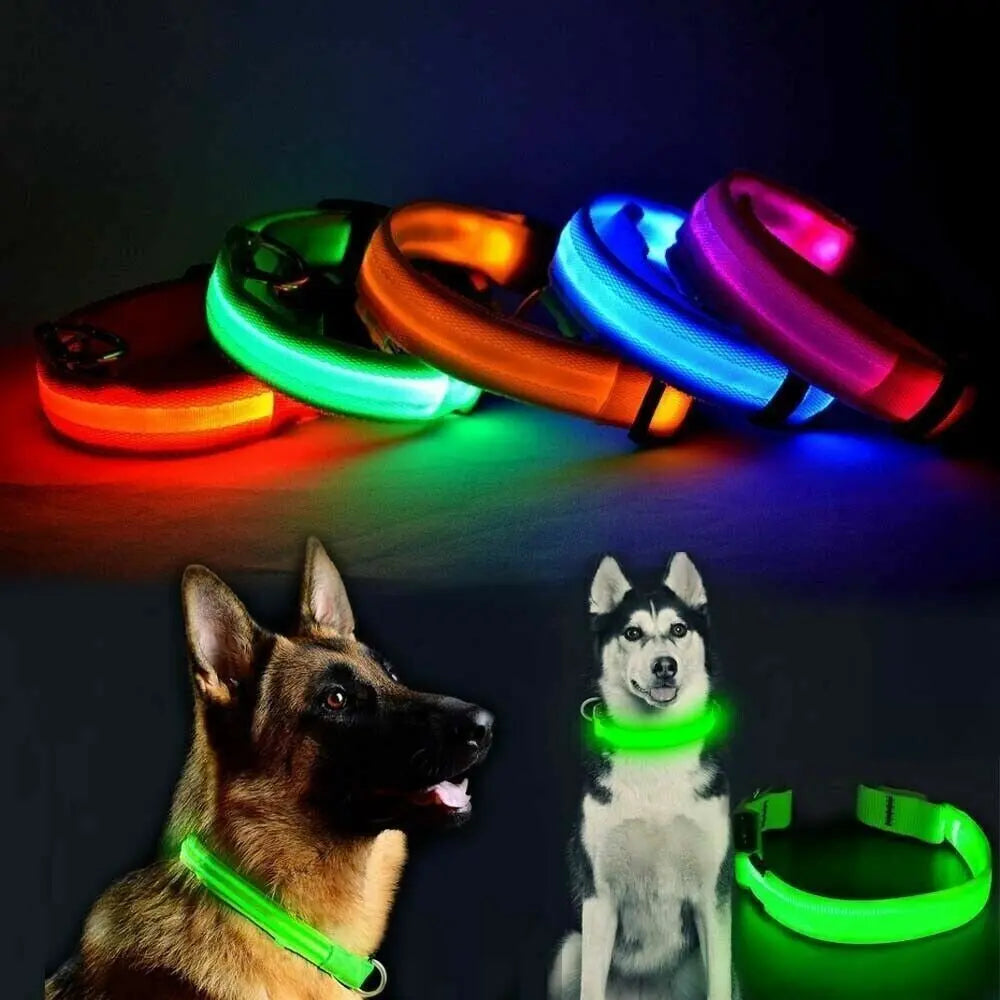 USB Rechargeable LED Pet Dog Collar Flashing Luminous Safety Light up Nylon UK - DynamicDrop Hub