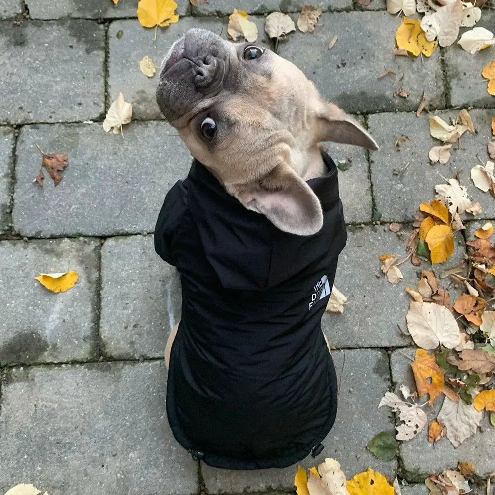 Waterproof Warm Cozy Coat with Hood and Reflective Features for Small Dogs and Cats - DynamicDrop Hub