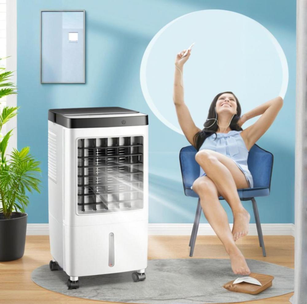 8L Portable Air Cooler Fan with Remote Control – Ice Cold Evaporative Cooling Unit with 3 Ice Packs, 3 Speeds, Timer & Large Water Tank – Eco-Friendly Conditioner for Home or Office (65W)