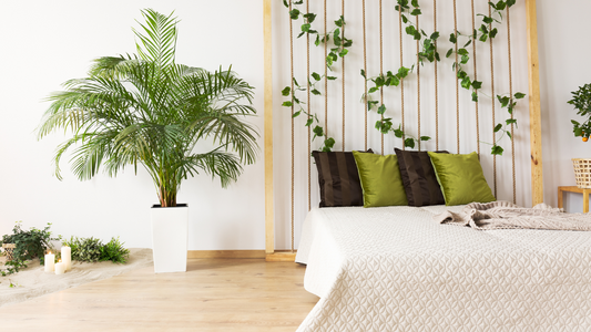 Bedding with Planting