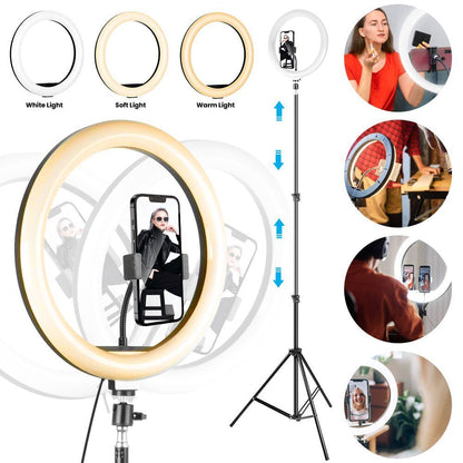 12" LED Ring Light with Stand for Youtube Tiktok Makeup Video Live Phone Selfie