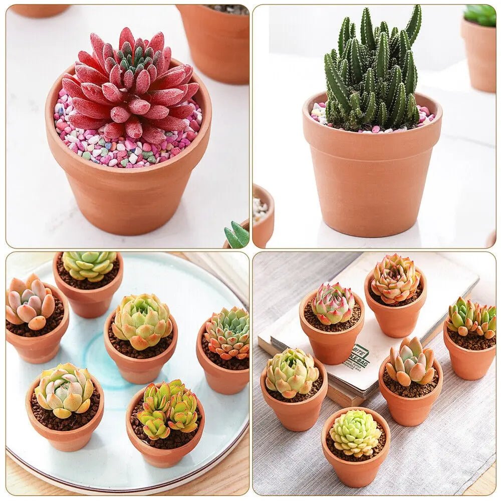 10 Pack Clay Plant Pots Patio Terracotta Pots Flowers Herbs Indoor Outdoor Decor - DynamicDrop Hub