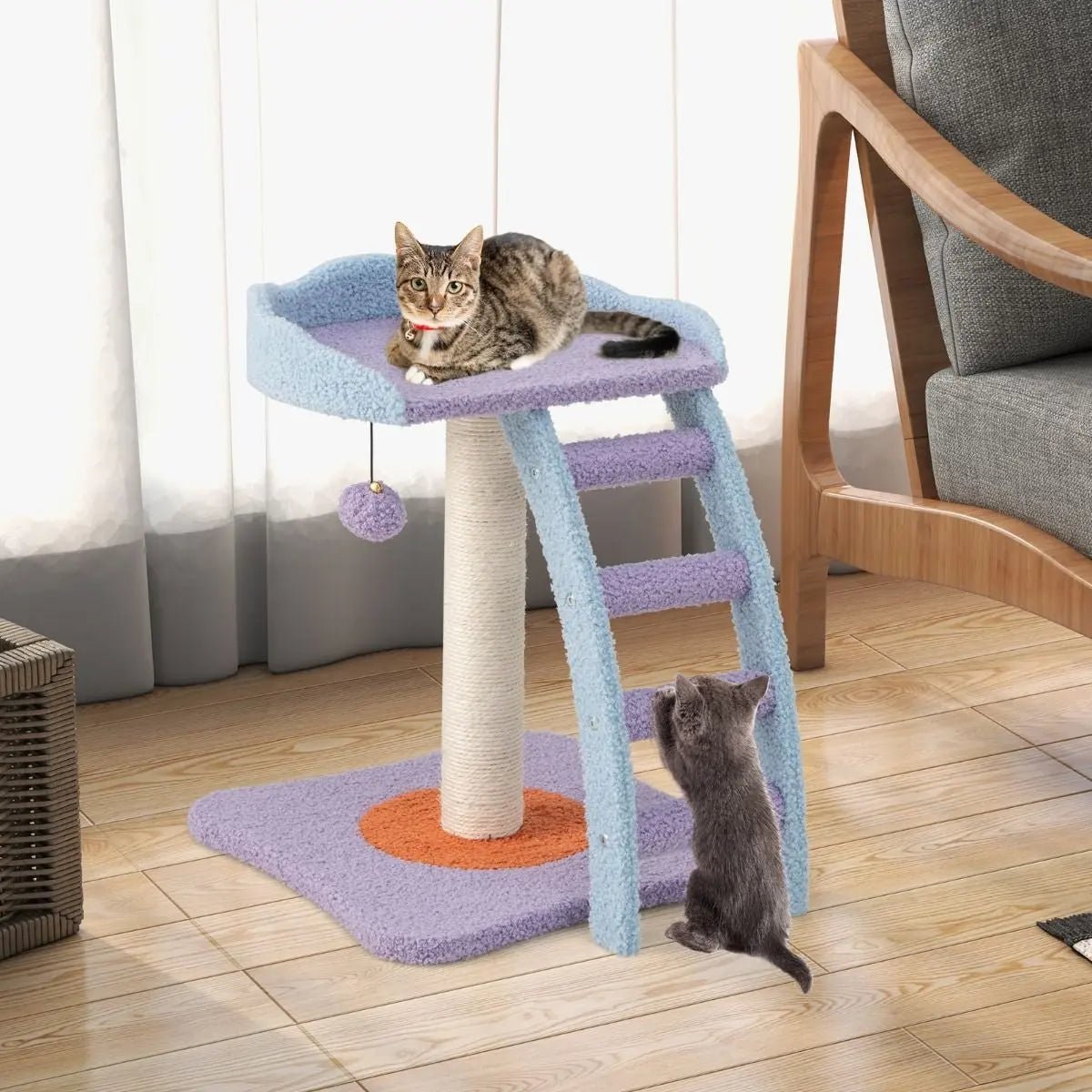 2 - Tier Modern Cat Tree Tower for Indoor Cats - DynamicDrop Hub