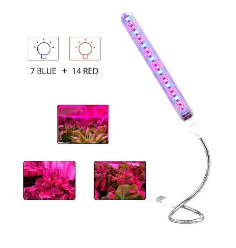 5V LED Grow Light Full Spectrum Red & Blue Phyto Grow Lamp - DynamicDrop Hub