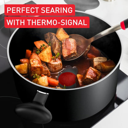 Titanium Essential Stewpot 24 Cm + Lid, High-Performance Non-Stick Coating, Metal Spatula Safe, All Hobs excluding Induction, B9414644