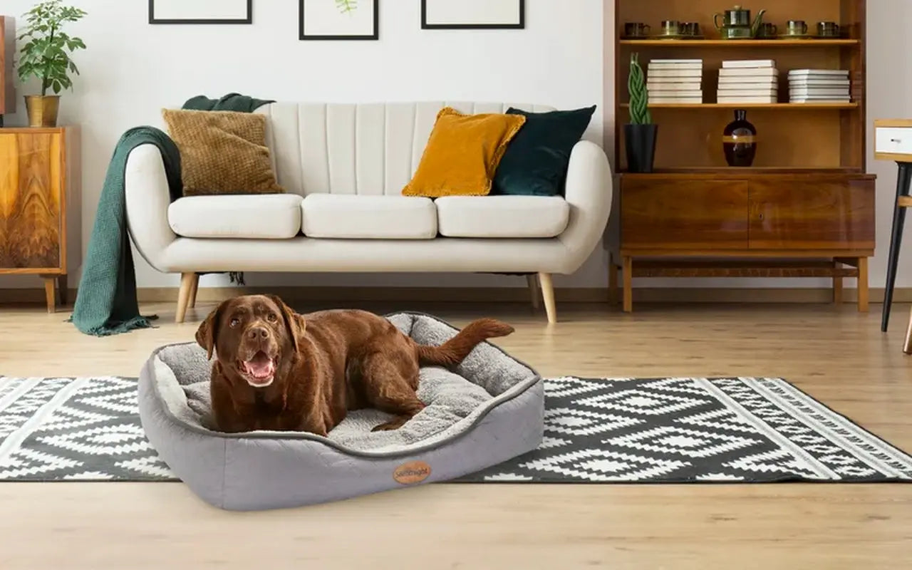 Airmax Breathable Pet Bed with Reversible Cushion - DynamicDrop Hub