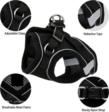 Cat Collars Harnesses and Lead Set Kitten Walking Escape Proof Adjustable Lead - DynamicDrop Hub