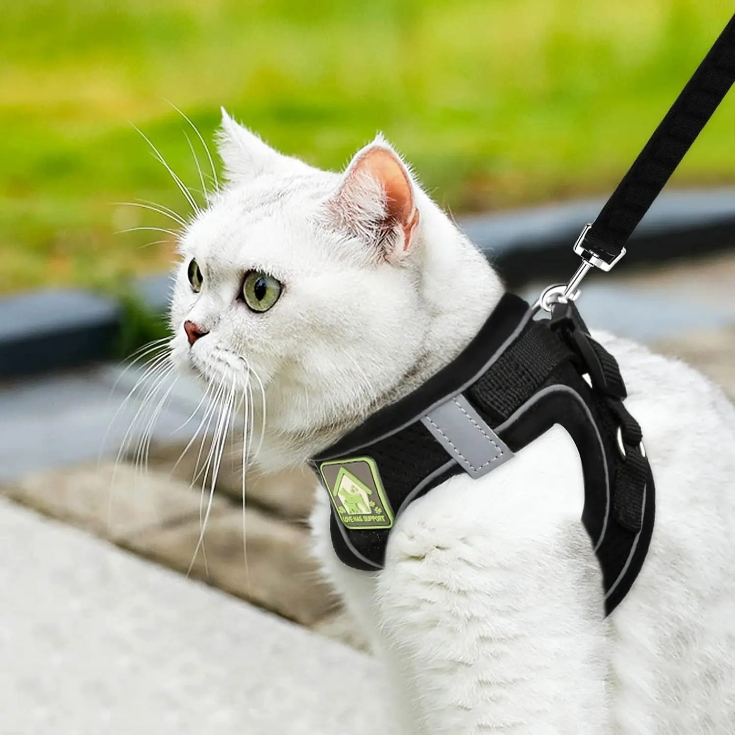 Cat Collars Harnesses and Lead Set Kitten Walking Escape Proof Adjustable Lead - DynamicDrop Hub