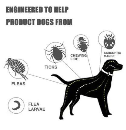 Flea And Tick Silicone Adjustable Dogs Cats Collar Anti-mosquitoes Insect Repellent - DynamicDrop Hub