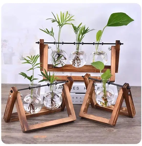 Hydroponic Plant Vases - Vintage Glass Vase with Wooden Tray - DynamicDrop Hub