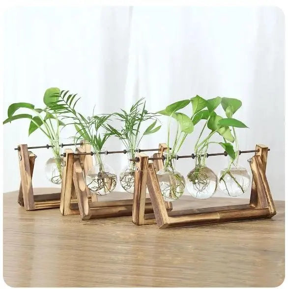 Hydroponic Plant Vases - Vintage Glass Vase with Wooden Tray - DynamicDrop Hub