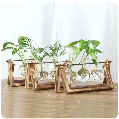 Hydroponic Plant Vases - Vintage Glass Vase with Wooden Tray - DynamicDrop Hub