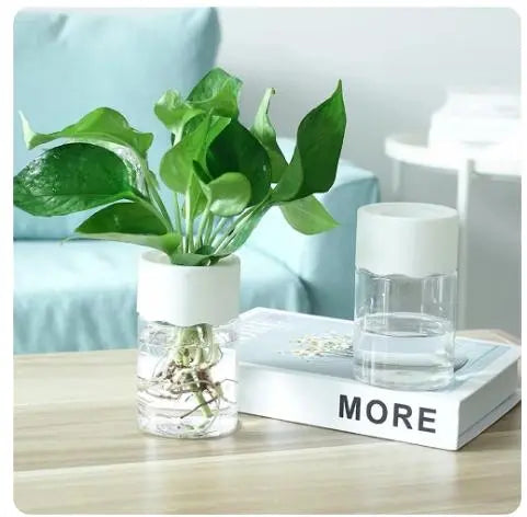 Mini Hydroponic Flower Pot - Transparent Imitation Glass Soilless Plant Pot - DynamicDrop Hub