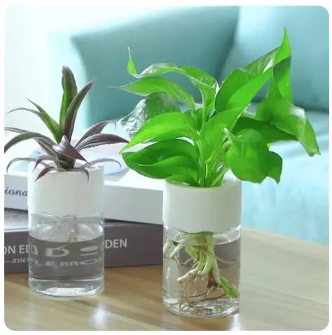 Mini Hydroponic Flower Pot - Transparent Imitation Glass Soilless Plant Pot - DynamicDrop Hub