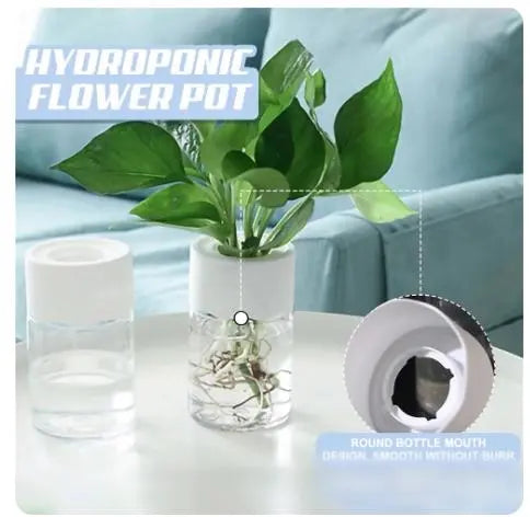 Mini Hydroponic Flower Pot - Transparent Imitation Glass Soilless Plant Pot - DynamicDrop Hub