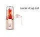 Portable USB Fruit Juicer Blender: Your On-the-Go Smoothie Solution - DynamicDrop Hub