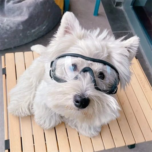 Cool Pup Shades – UV-Resistant Waterproof Dog Goggles for Large Breeds | Windproof & Transparent Pet Glasses for Outdoor Protection