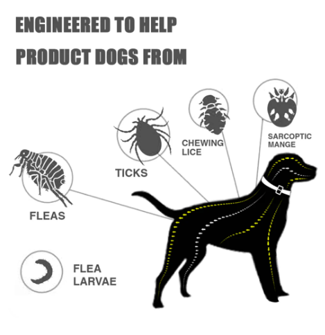 Flea And Tick Silicone Adjustable Dogs Cats Collar Anti-mosquitoes Insect Repellent