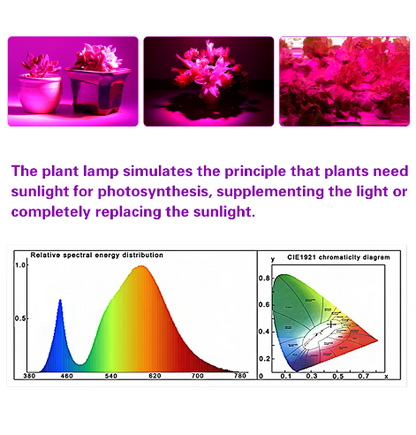 5V LED Grow Light Full Spectrum Red & Blue Phyto Grow Lamp