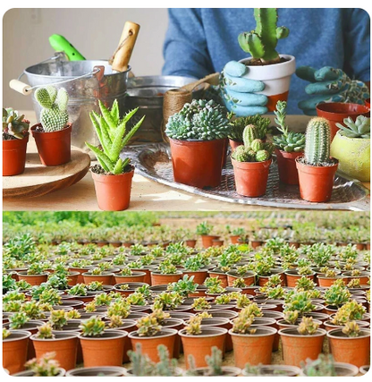 Flexible Plant Nursery Pots - Set of 75