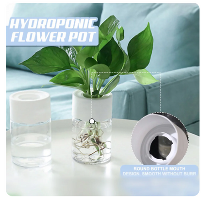 Mini Hydroponic Flower Pot - Transparent Imitation Glass Soilless Plant Pot