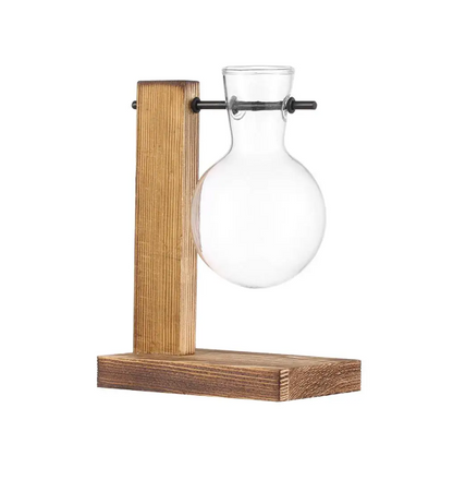 Hydroponic Plant Vases - Vintage Glass Vase with Wooden Tray