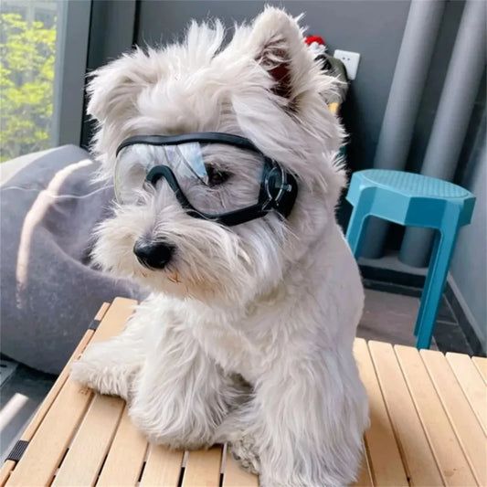 Cool Pup Shades – UV-Resistant Waterproof Dog Goggles for Large Breeds | Windproof & Transparent Pet Glasses for Outdoor Protection