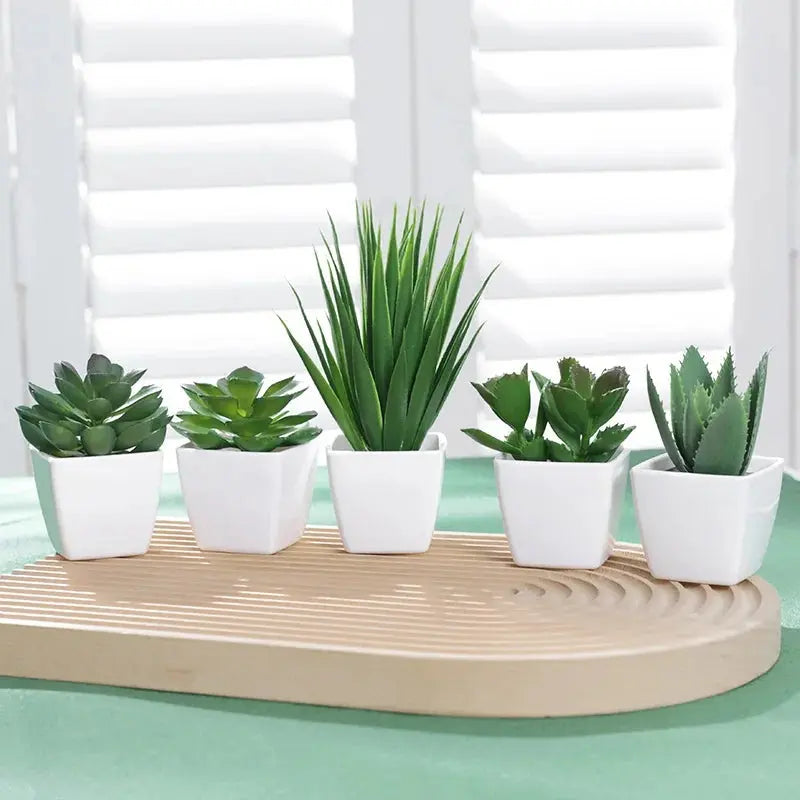 Succulent Potted Plant, Suitable for Decorating Home, Restaurant, Tabletop, Windowsill, Bookshelf - DynamicDrop Hub