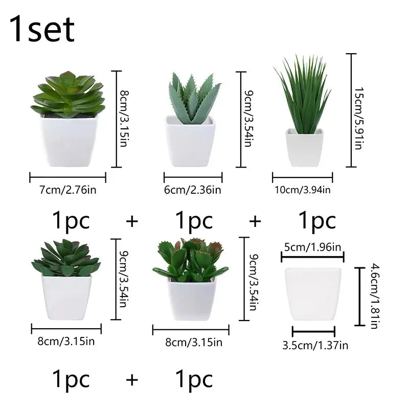 Succulent Potted Plant, Suitable for Decorating Home, Restaurant, Tabletop, Windowsill, Bookshelf - DynamicDrop Hub