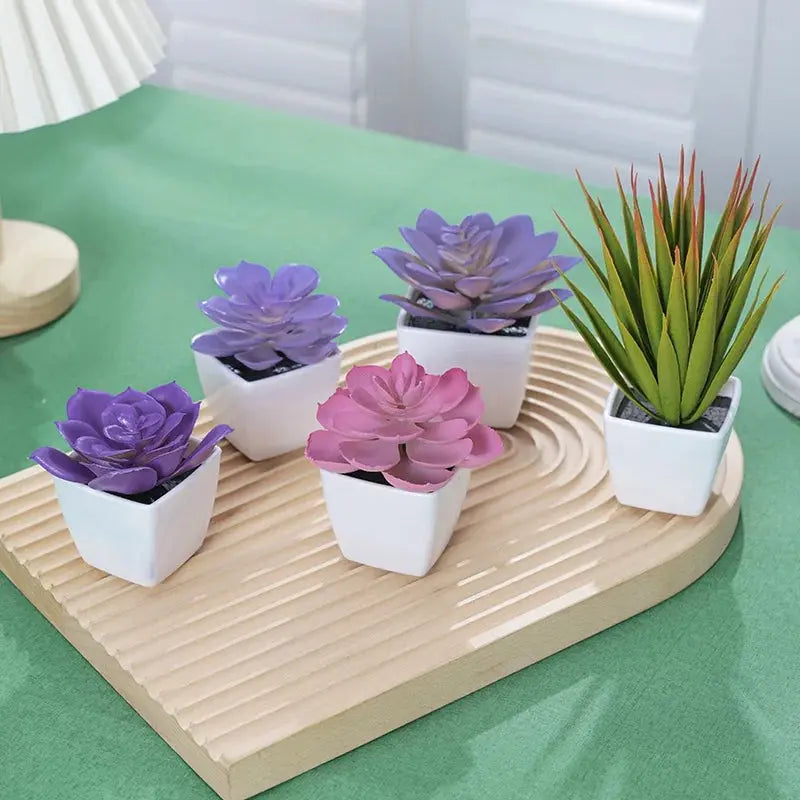 Succulent Potted Plant, Suitable for Decorating Home, Restaurant, Tabletop, Windowsill, Bookshelf - DynamicDrop Hub