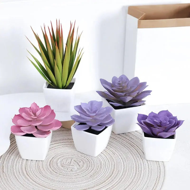 Succulent Potted Plant, Suitable for Decorating Home, Restaurant, Tabletop, Windowsill, Bookshelf - DynamicDrop Hub