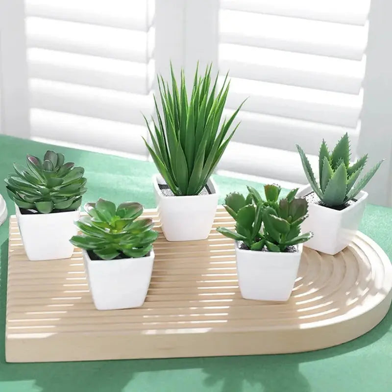 Succulent Potted Plant, Suitable for Decorating Home, Restaurant, Tabletop, Windowsill, Bookshelf - DynamicDrop Hub