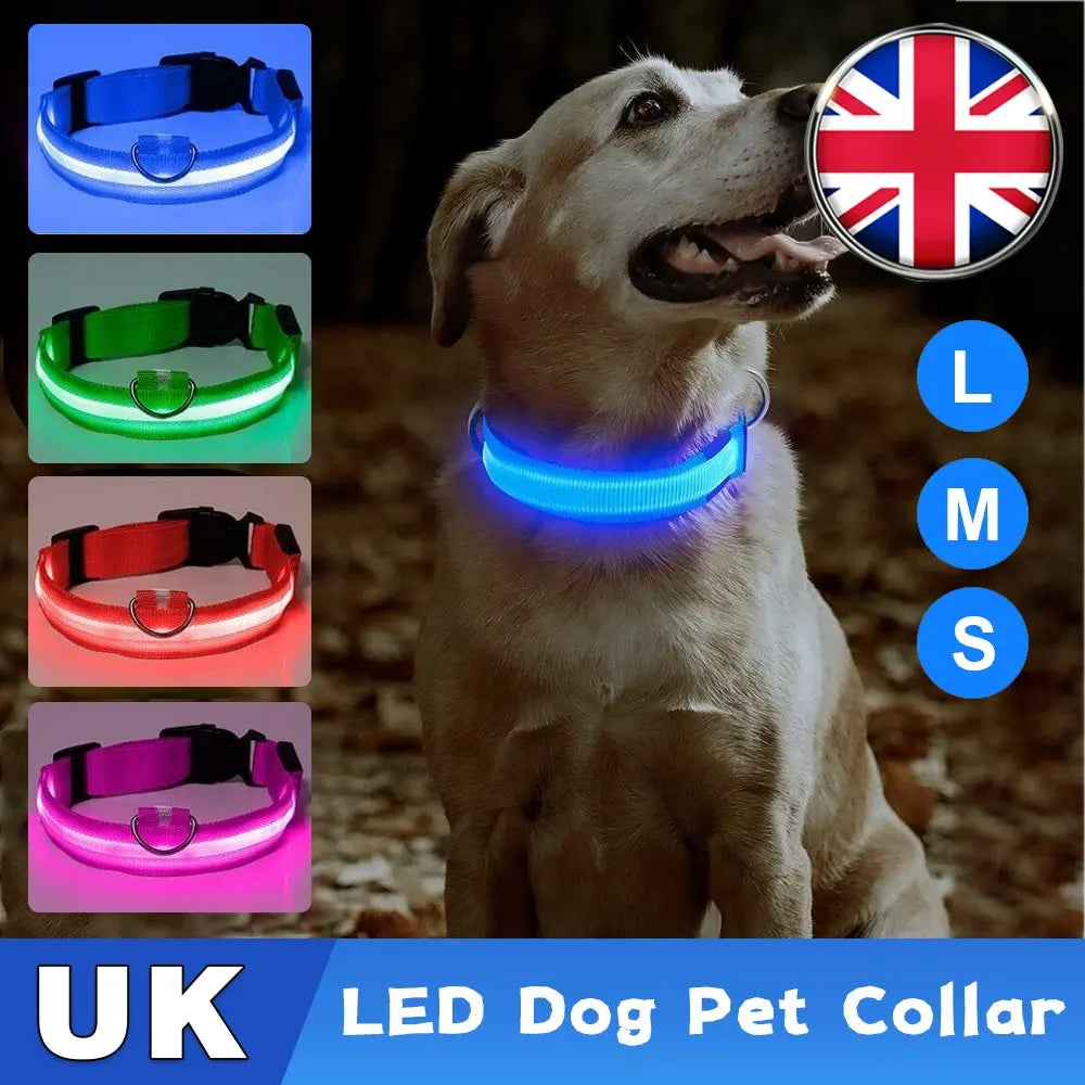 USB Rechargeable LED Pet Dog Collar Flashing Luminous Safety Light up Nylon UK - DynamicDrop Hub