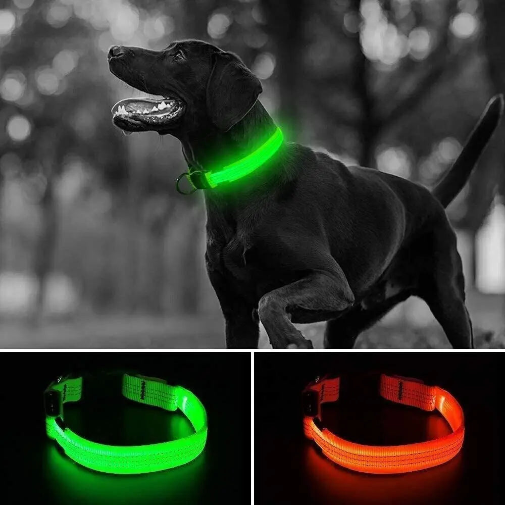 USB Rechargeable LED Pet Dog Collar Flashing Luminous Safety Light up Nylon UK - DynamicDrop Hub