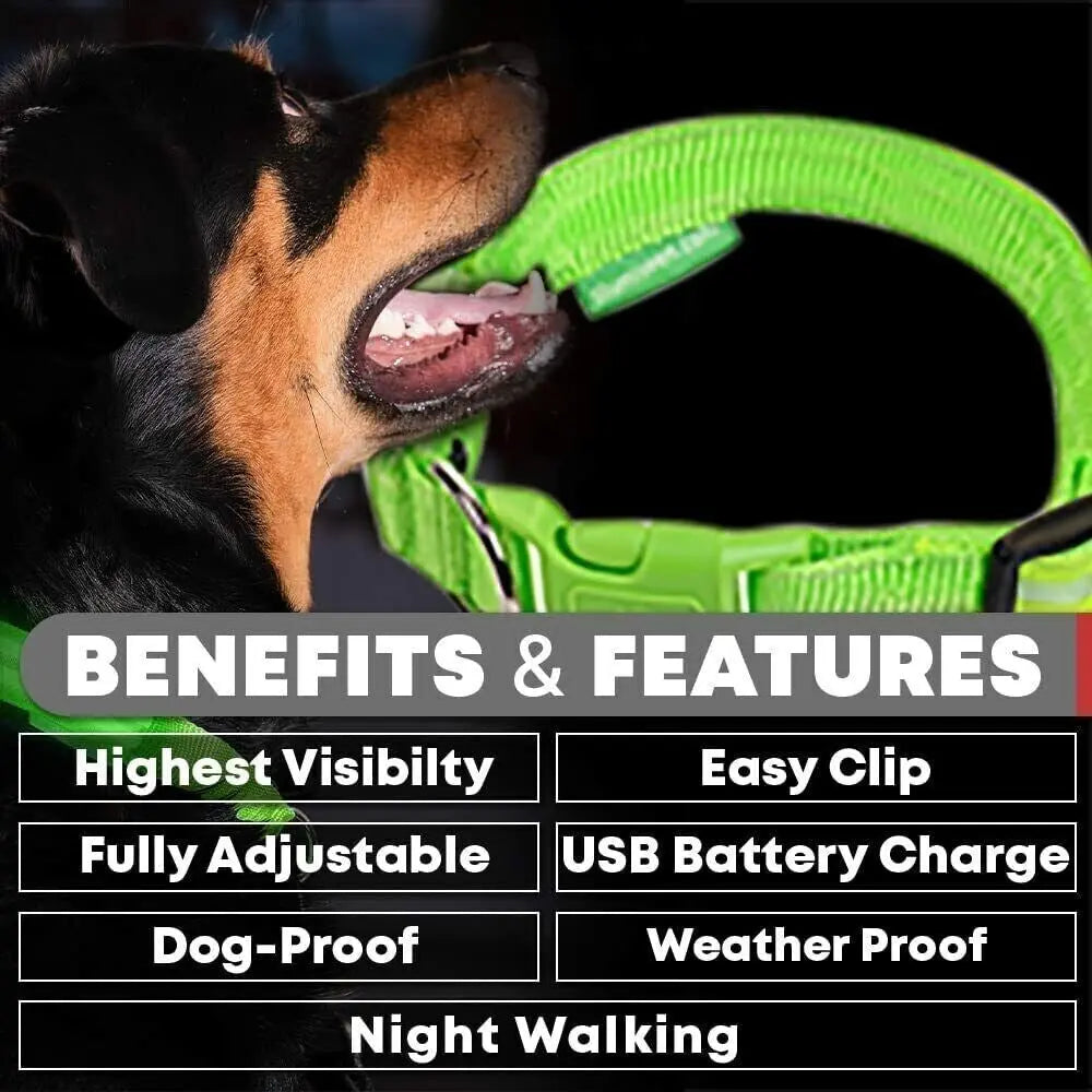 USB Rechargeable LED Pet Dog Collar Flashing Luminous Safety Light up Nylon UK - DynamicDrop Hub