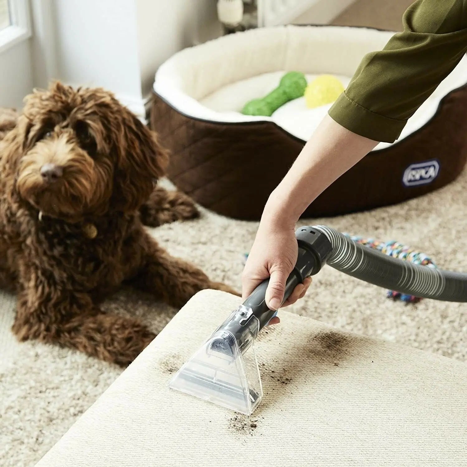 Vax Dual Power Pet Advance Carpet Cleaner with Pet Odour Solution ECR2V1P - DynamicDrop Hub