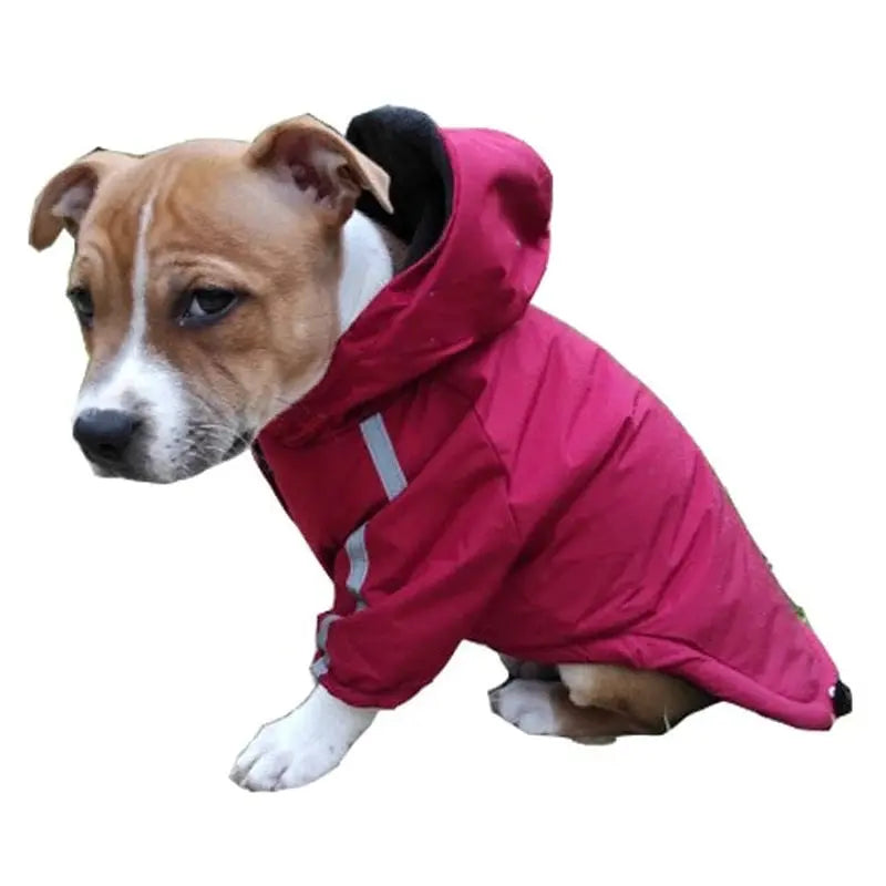 Waterproof Warm Cozy Coat with Hood and Reflective Features for Small Dogs and Cats - DynamicDrop Hub