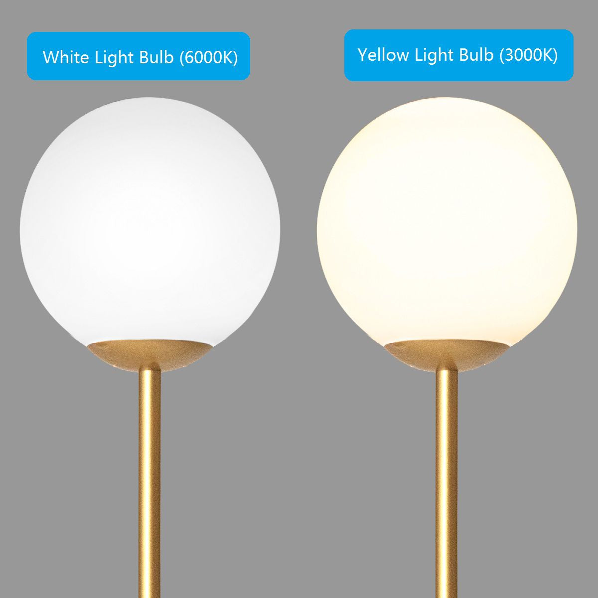 Globe Lamp Cover Floor Lamp with Acrylic Lampshade