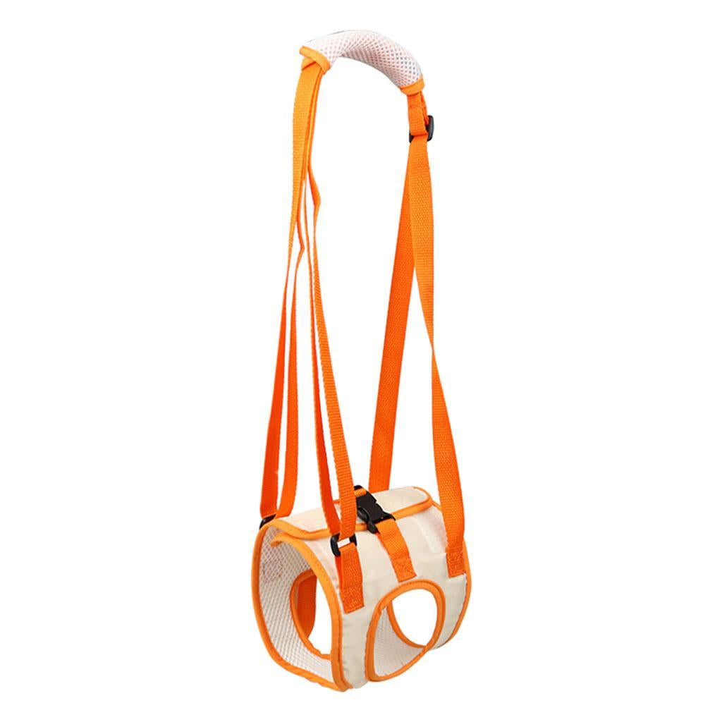 Lift , Support Harness Helps with Loss of Stability Caused By