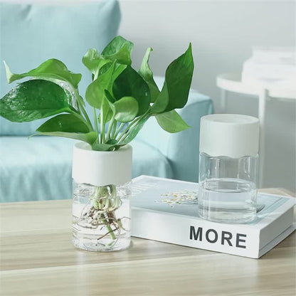 Mini Hydroponic Flower Pot - Transparent Imitation Glass Soilless Plant Pot